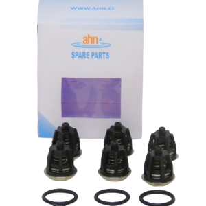 Kit N°1 Valvulas AHNPRO para Interpump